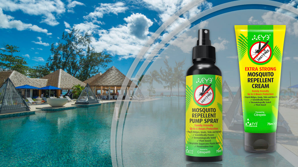 Your Ultimate Guide for a Mosquito-Free Christmas Sun-Seeking Adventure