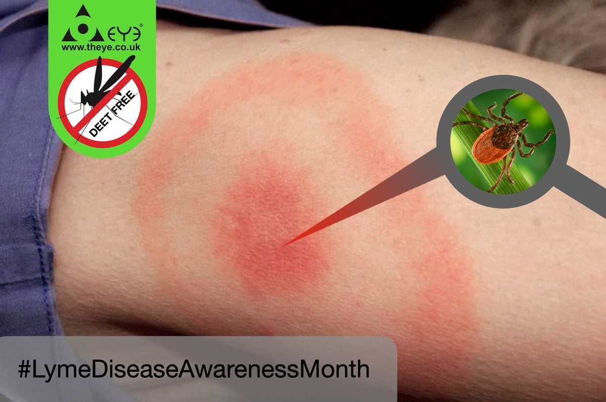 Safeguarding Against Lyme Disease: Harnessing Nature's Defense with PMD Insect Repellents
