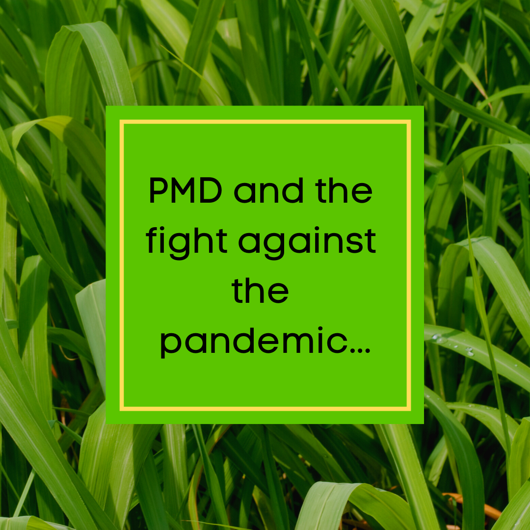 PMD and the fight against the pandemic? Tell me more!
