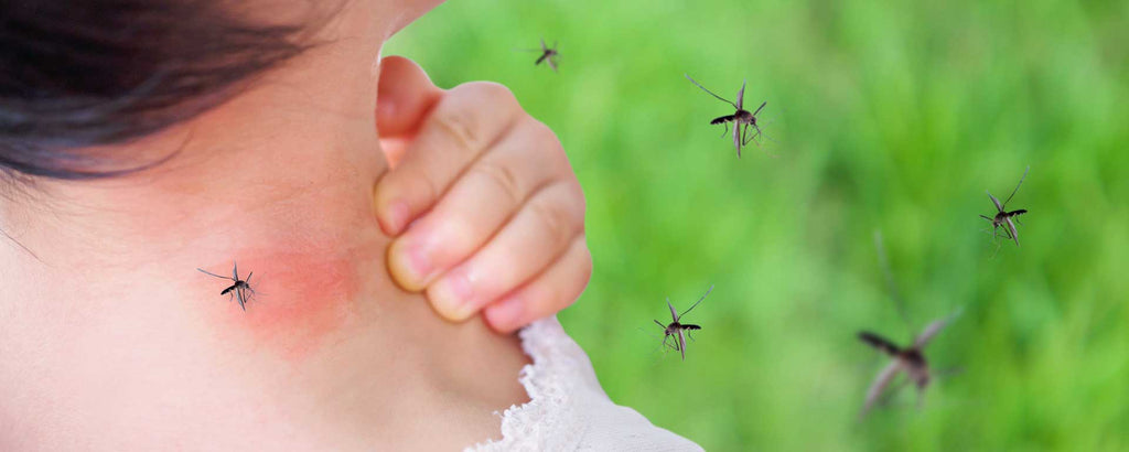 The Mosquito Magnet: Unraveling the Mystery of Why Some People Are More Prone to Bites