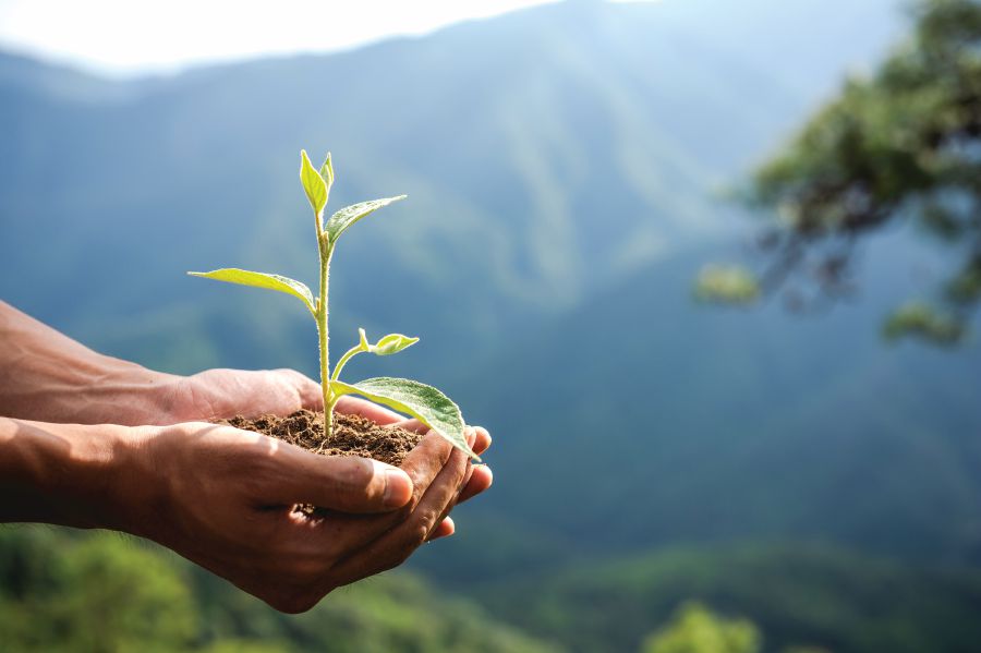 Embrace the Natural: The Positive Side of Preservative-Free, PMD-Based ...
