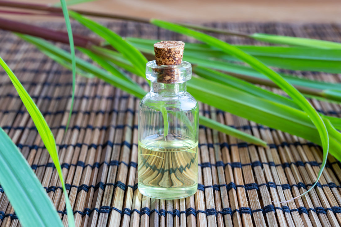 Understanding PMD: A Powerful Natural Insect Repellent