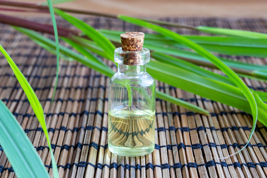 Understanding PMD: A Powerful Natural Insect Repellent